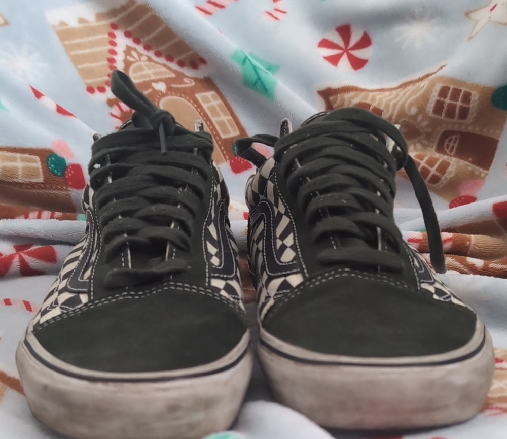 Vans Checkerboard Low-Top Skate 50th Anniversary Edition Sneakers